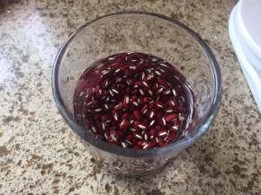 红豆，清洗浮沉，浸泡一晚上；