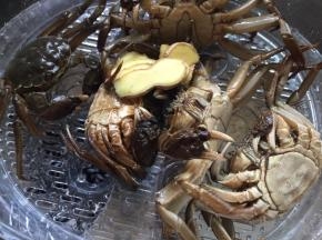 把螃蟹和生姜放入蒸锅中；
