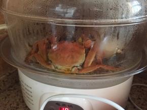 大概15分钟，就慢慢的变红；