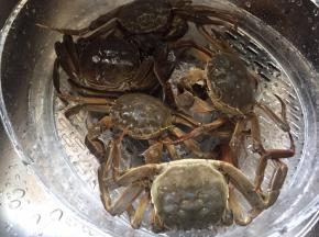 拆掉绳子，清洗干净；