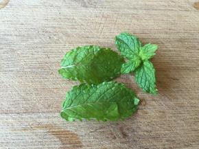 薄荷叶洗净；