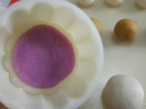 把粘有彩色冰皮的花片，放在模具中。