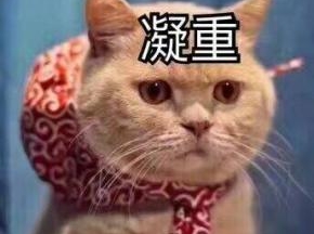 乌梅要在药店里买的中药的那种！！！超市里的糖渍过的不可以！！！！