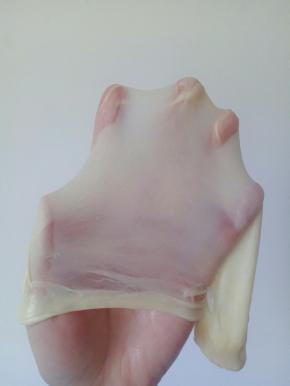 揉面结束后，取一小块面团，用手慢慢抻开，形成不易破的薄膜