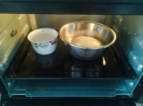 将面团整形放入容器中，在放一碗热水（防止面包表皮干），放入烤箱进行第一次发酵1个小时