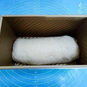 将面团平放在土司盒中间，盖上一块湿布，烤箱低温发酵40分钟左右