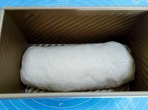 将面团平放在土司盒中间，盖上一块湿布，烤箱低温发酵40分钟左右