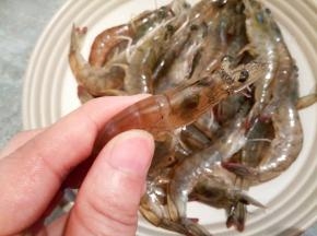 剪去虾枪，虾须