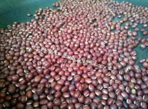 炒好的红豆如上图所示，个别表面微爆皮，整体红豆，颜色深红发灰，关火。