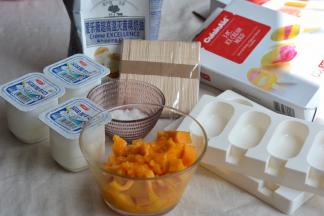 全部材料准备好，芒果切丁，冰棍模具清洗干净沥干水