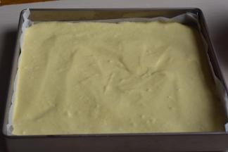 将蛋糕糊倒入提前端出来的烤盘中，用刮刀将表面略微刮平