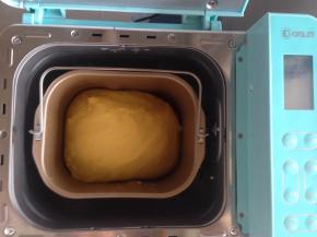 面团发酵时，可以在面包桶上盖一块湿布，再盖上面包机盖。这是发酵好的面团