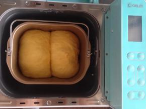 发酵好的面包坯。