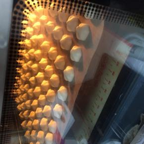 挤在事先准备好的烤盘上，中间留点空隙，放入烤箱90度60分钟，（烤箱温度仅供参考）