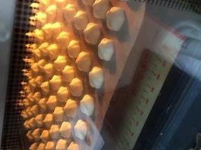 挤在事先准备好的烤盘上，中间留点空隙，放入烤箱90度60分钟，（烤箱温度仅供参考）