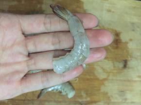 2. 剥掉虾壳，剩下虾尾和最后一节不要剥掉