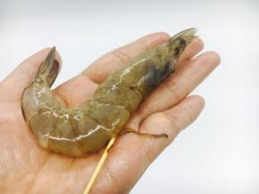 用牙签挑出虾线