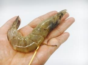用牙签挑出虾线