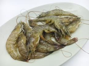 主要食材鲜虾