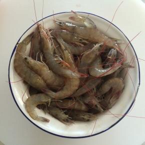 准备食材活虾，把虾冲洗干净