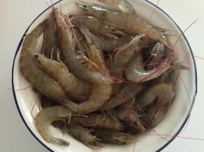 准备食材活虾，把虾冲洗干净