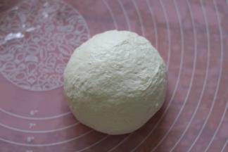 滚圆，保鲜膜覆盖松弛20分钟。