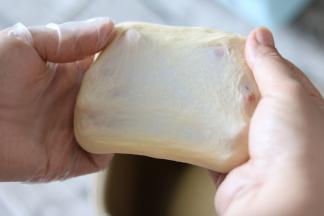 揉至能拉出面膜即可，保鲜膜覆盖进行发酵。