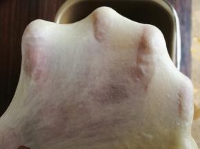 揉至面团拉出大片坚韧的面膜。