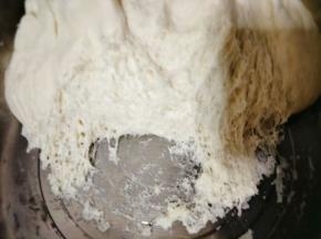 醒发好的面团呈蜂窝状，然后拿出面团揉一揉排气；