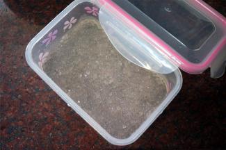 将西米泡进冰水中，然后捞起，放入冰箱冷藏备用。