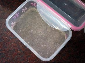 将西米泡进冰水中，然后捞起，放入冰箱冷藏备用。