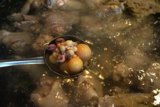 烧一锅水，水温热时，将鸡块入锅中焯烫；鸡蛋串可以放在漏勺中汆汤，防止蛋黄破裂营养流失