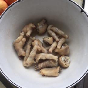 煮熟了以后捞出，换水继续煮，煮到用子就能扎透