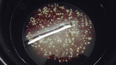 加足量的水，进高压锅煮30分钟。