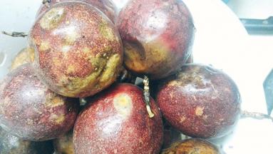 看皮这样不是坏的。比较皱的会比较甜。