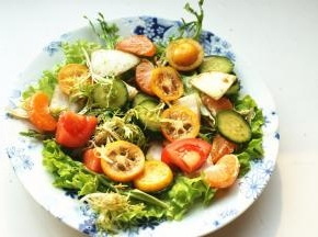 拌好的沙拉先铺在盘子里。