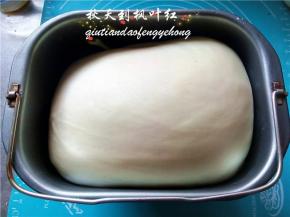 面团发酵至2.5倍大