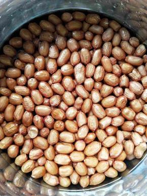 花生米用清水提前泡一晚上