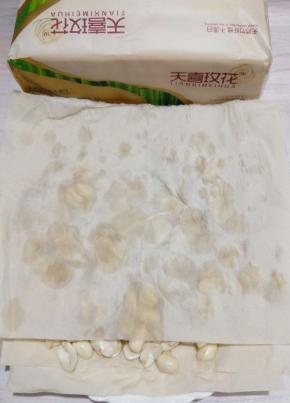 去了皮的花生用厨房纸控干水分，一定要控干水分放入冰箱冷冻一天。可能大家会说这样好麻烦。如果怕麻烦的可以不冻，但味道绝对不一样哦。