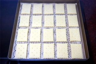 将饼干坯整齐摆放到垫了硅胶垫或吸油纸的烤盘上，28*28cm的烤盘我放了20块，剩余的放另外一盘。