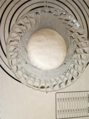 将中种材料混合揉成光滑面团，室温发酵。