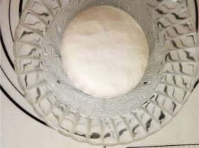 将中种材料混合揉成光滑面团，室温发酵。
