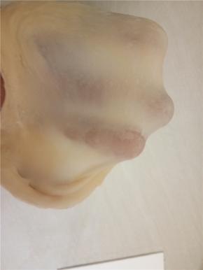 继续摔打至出透明手套膜。