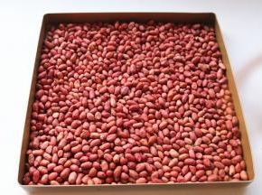 先来做花生酱。选择油脂丰富的花生仁，放入烤盘里，烤箱200度烤大约10分钟，注意观察，不要烤糊，看到花生没有变色就拿出来，凉了就脆了，如果烤到花生变黄就晚了，因为花生本身含油脂，拿出来也会继续加热变成焦糊。