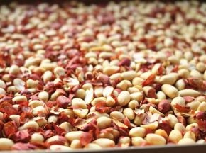 烤熟的花生搓掉红衣，只要白色的花生仁。