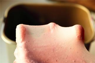 面团材料除了黄油外都放入面包机揉面15分钟，再放入室温软化的黄油再揉面15分钟，可以拉出结实的手套膜。揉好的面团送到温暖湿润的地方开始发酵。