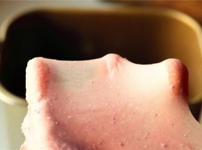 面团材料除了黄油外都放入面包机揉面15分钟，再放入室温软化的黄油再揉面15分钟，可以拉出结实的手套膜。揉好的面团送到温暖湿润的地方开始发酵。