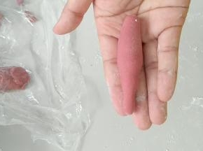 每一个小剂子，都搓成一头细，一头粗的样子。
