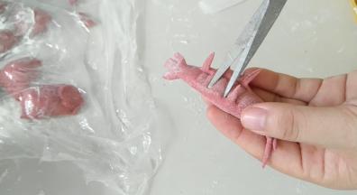 翻过来，背部剪出六条腿。