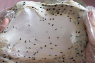 揉至能拉出如图，薄而坚韧的面膜，即可。把面团用保鲜膜覆盖，基础发酵（室温39度，月55分钟）。